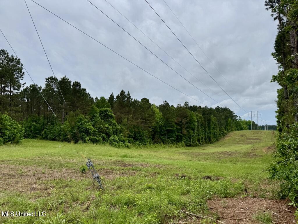 0010 Mount Carmel Road Road, Daleville, Mississippi image 5