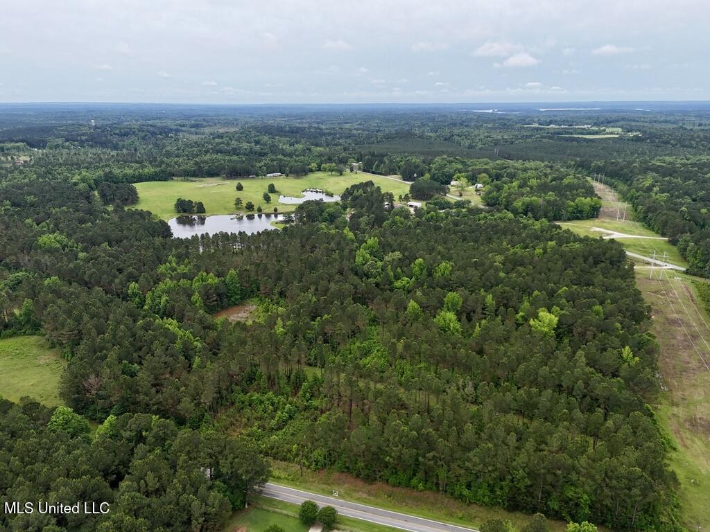 0010 Mount Carmel Road Road, Daleville, Mississippi image 16