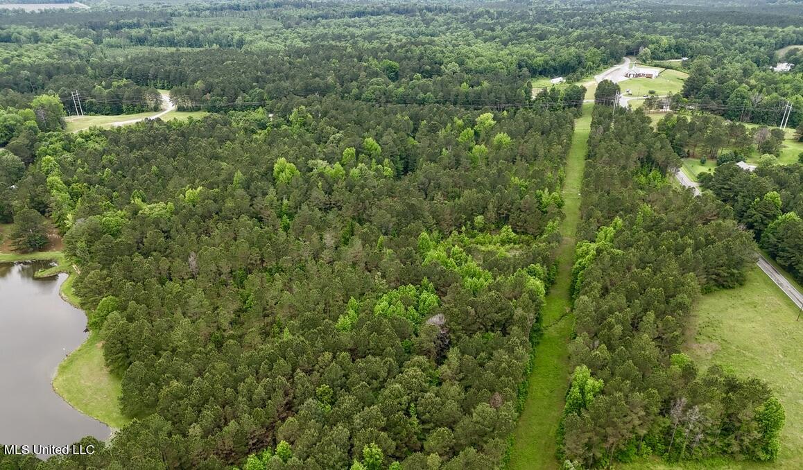 0010 Mount Carmel Road Road, Daleville, Mississippi image 9