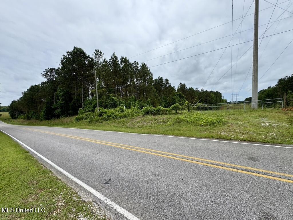 0010 Mount Carmel Road Road, Daleville, Mississippi image 4