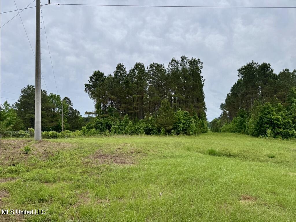 0010 Mount Carmel Road Road, Daleville, Mississippi image 7
