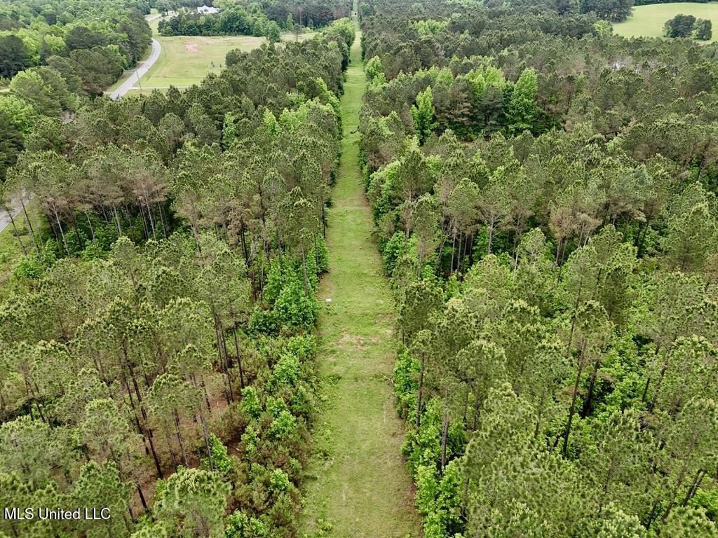0010 Mount Carmel Road Road, Daleville, Mississippi image 12