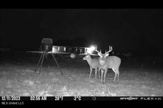 Brandon, Mississippi 39047, United States, 4 Bedrooms Bedrooms, ,4 BathroomsBathrooms,Residential,Pending,40706