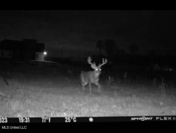 Brandon, Mississippi 39047, United States, 4 Bedrooms Bedrooms, ,4 BathroomsBathrooms,Residential,Pending,40706