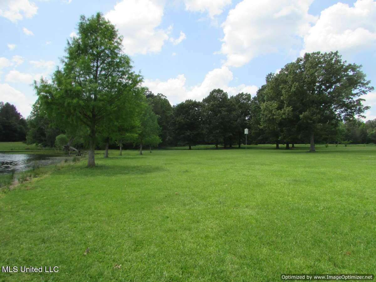 604 Ratliff Ferry Rd, Canton, Mississippi image 11