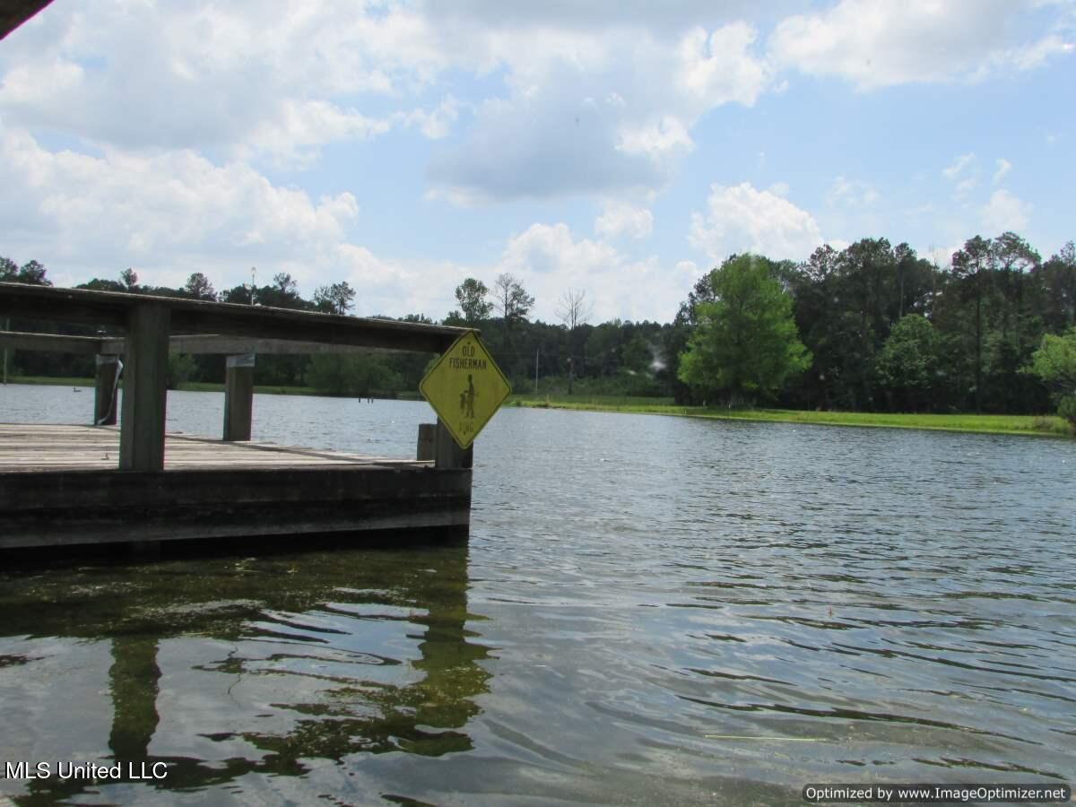 604 Ratliff Ferry Rd, Canton, Mississippi image 15