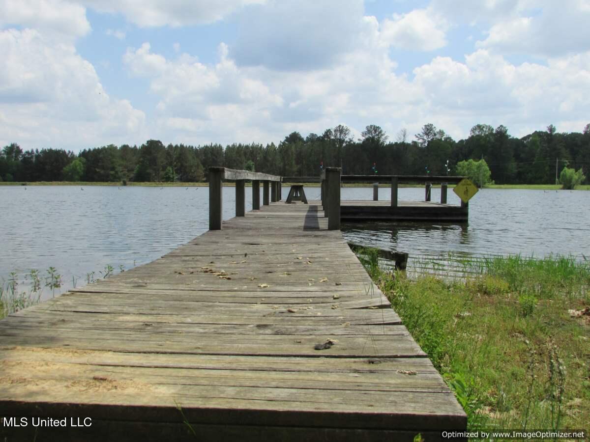 604 Ratliff Ferry Rd, Canton, Mississippi image 13
