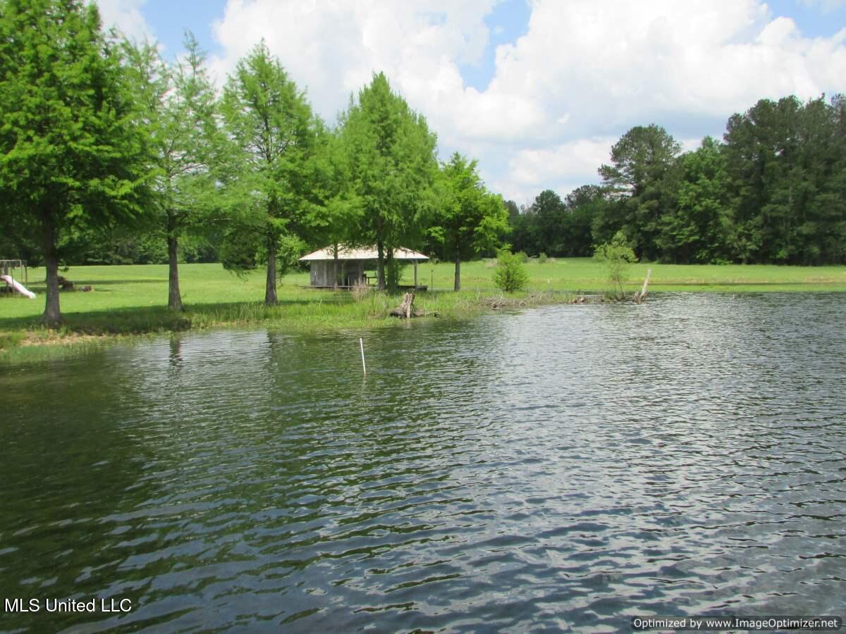 604 Ratliff Ferry Rd, Canton, Mississippi image 16