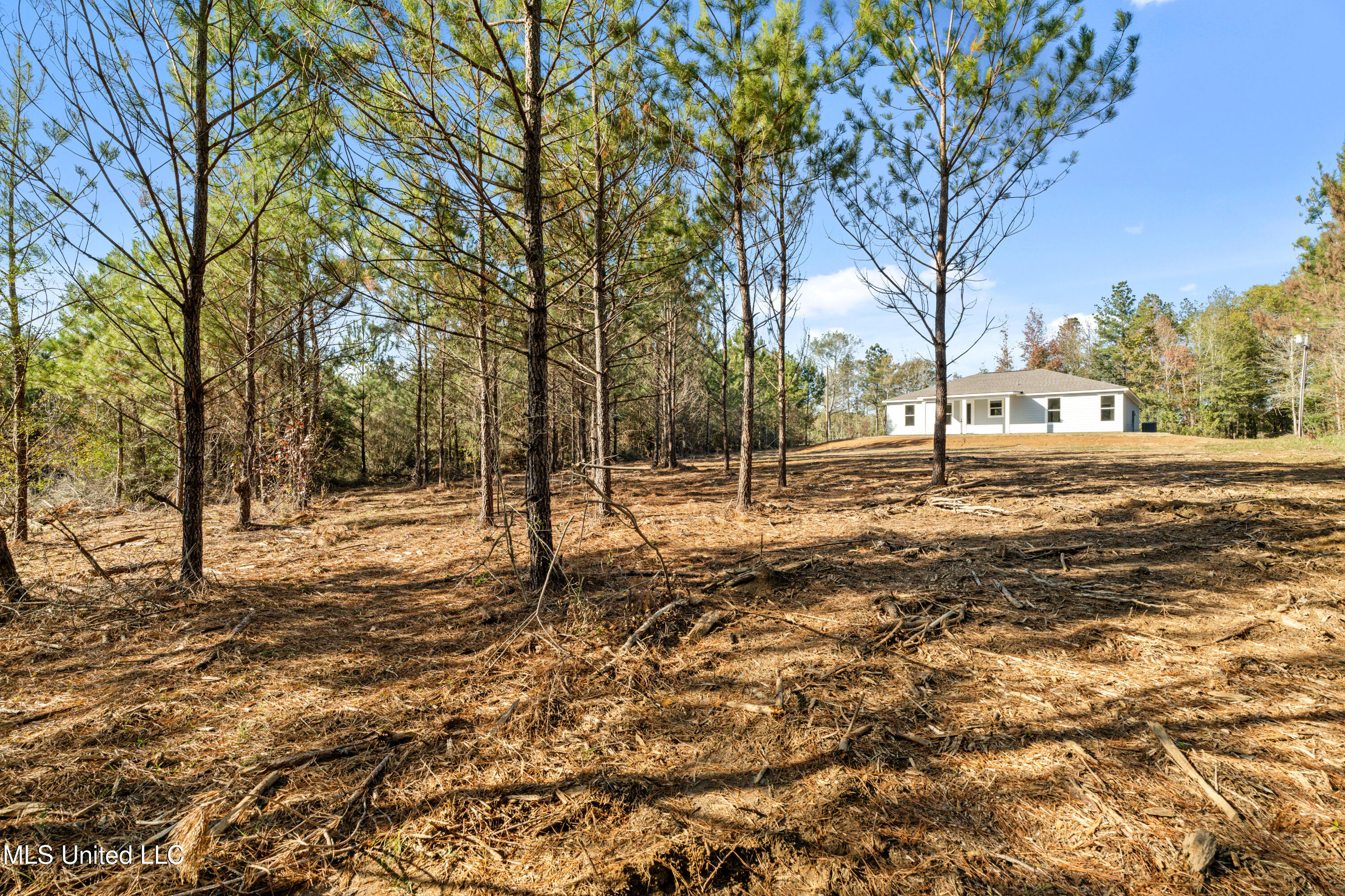 20 Dead End Rd Road, Carriere, Mississippi image 17