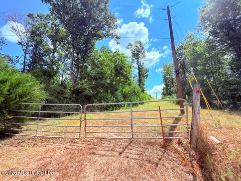 Vacant Land For Sale - 261 E Salem Road<br/> Tylertown, MS 39667