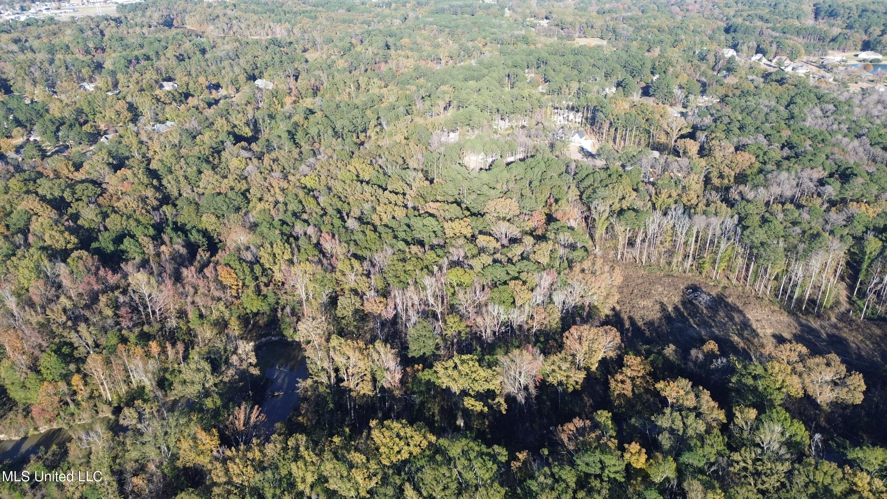 Brookhollow Court, Flowood, Mississippi image 8