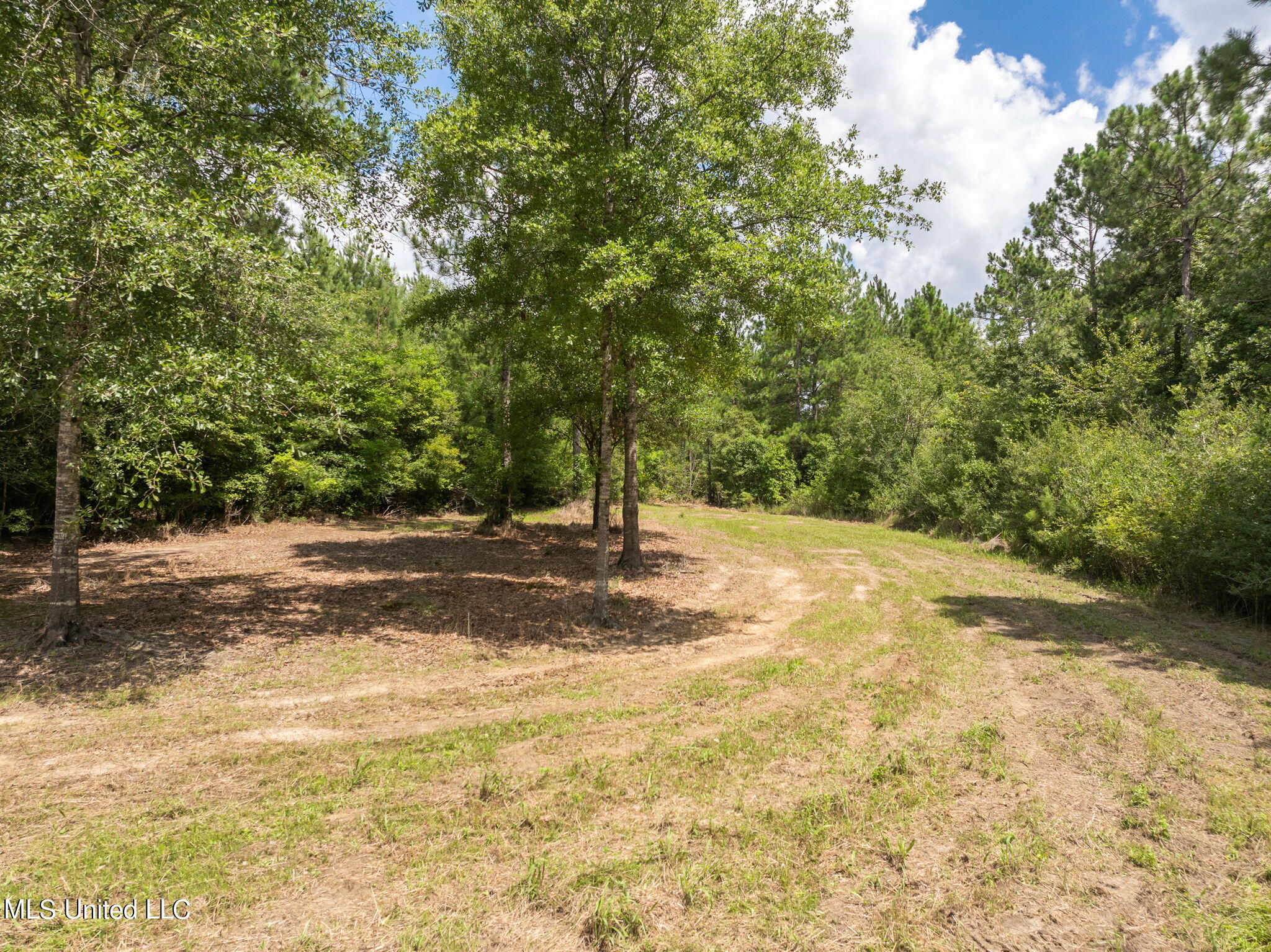 Herman Ladner Road, Saucier, Mississippi image 16