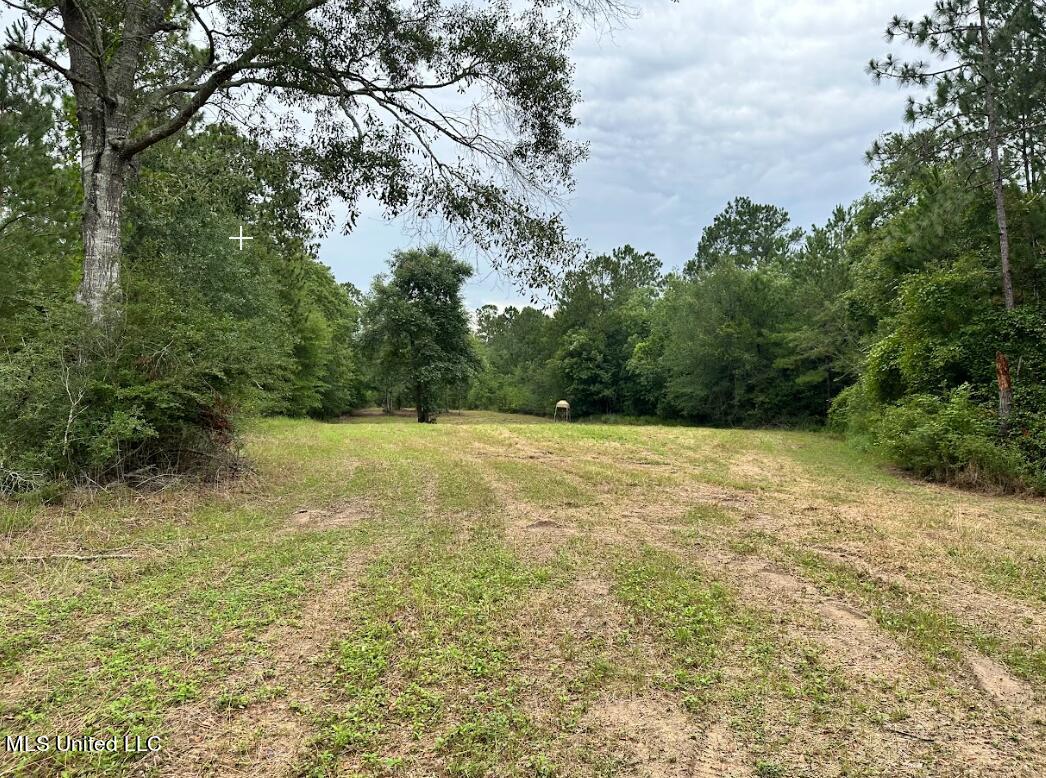 Herman Ladner Road, Saucier, Mississippi image 8