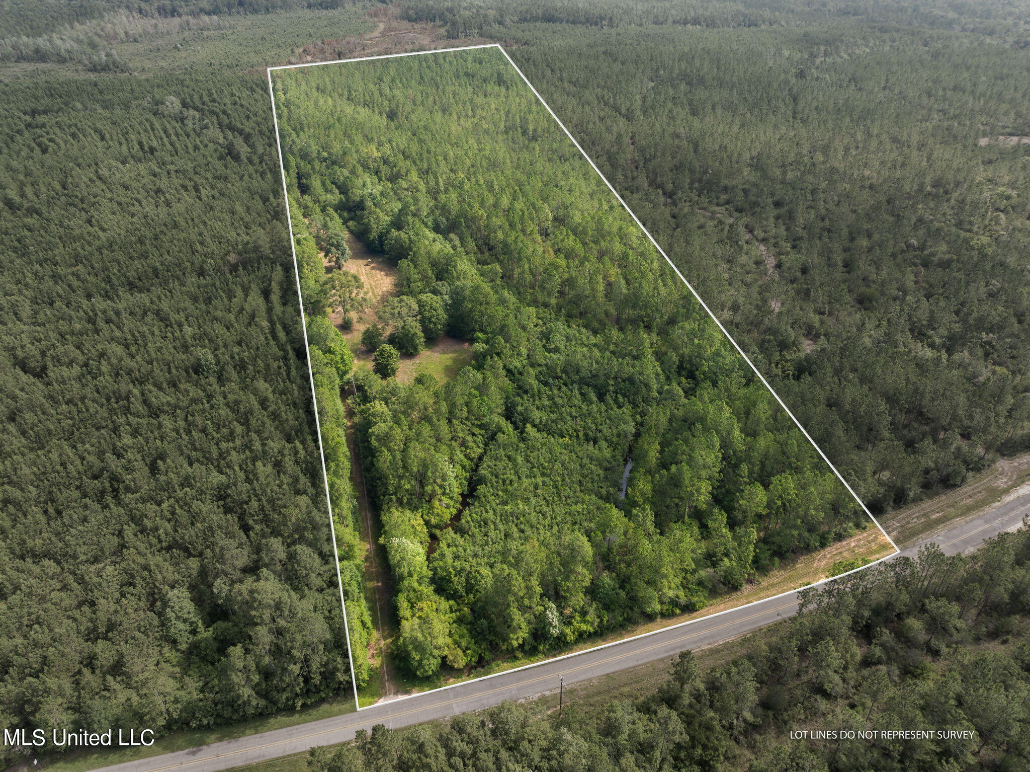 Herman Ladner Road, Saucier, Mississippi image 1