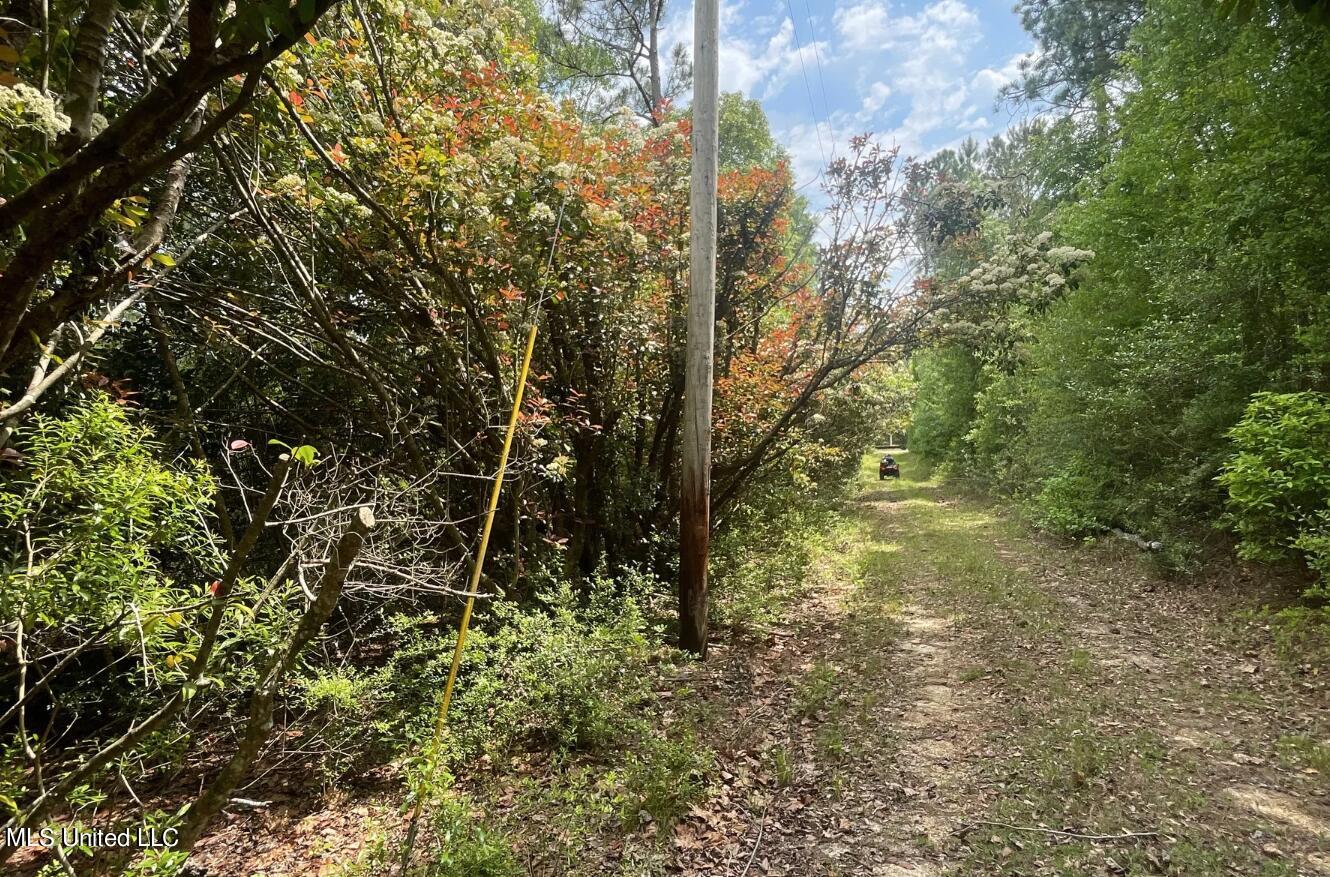 Herman Ladner Road, Saucier, Mississippi image 4