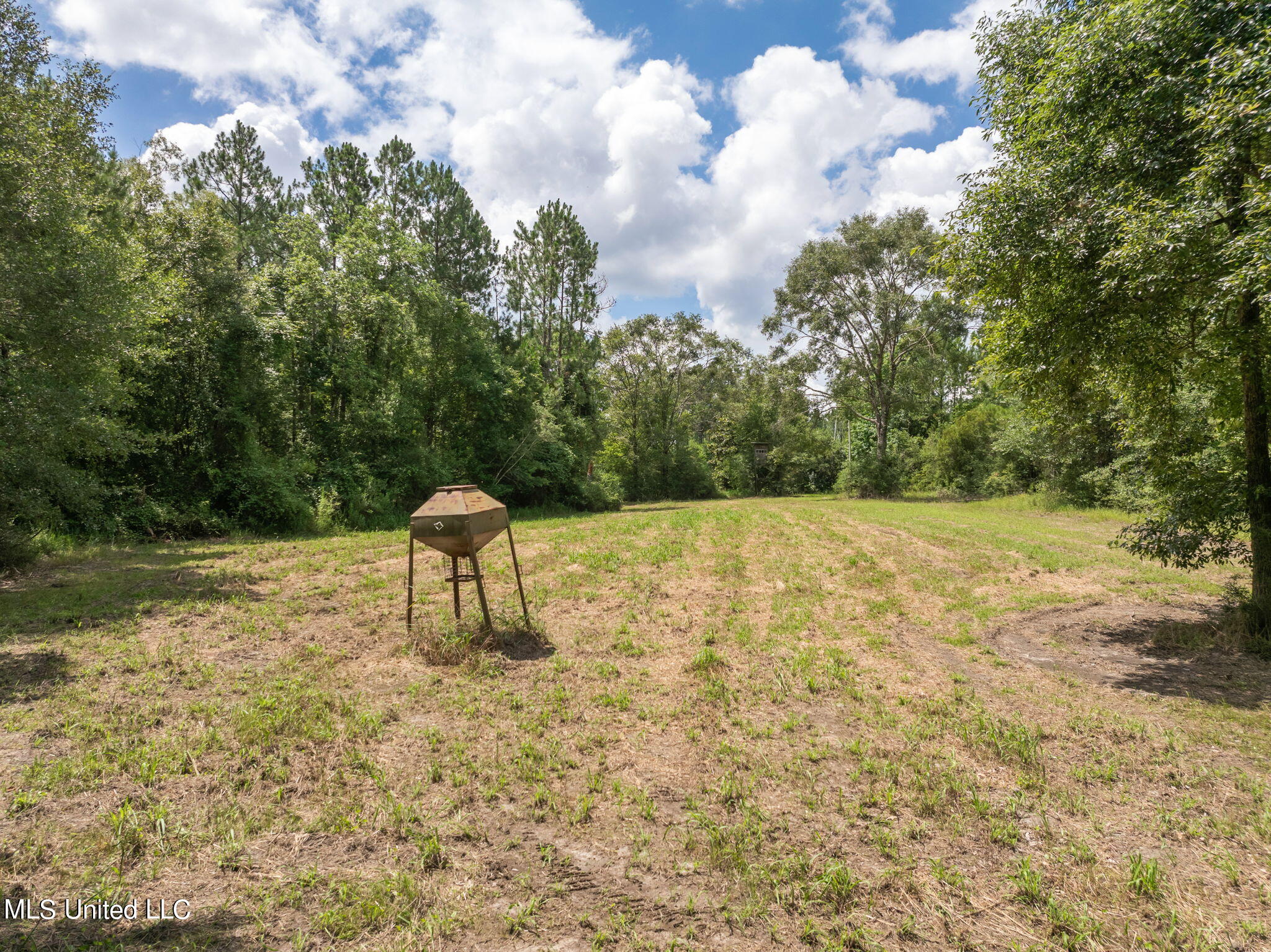 Herman Ladner Road, Saucier, Mississippi image 15