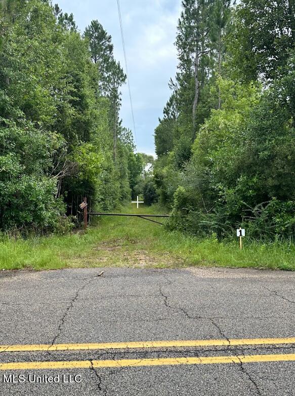 Herman Ladner Road, Saucier, Mississippi image 3