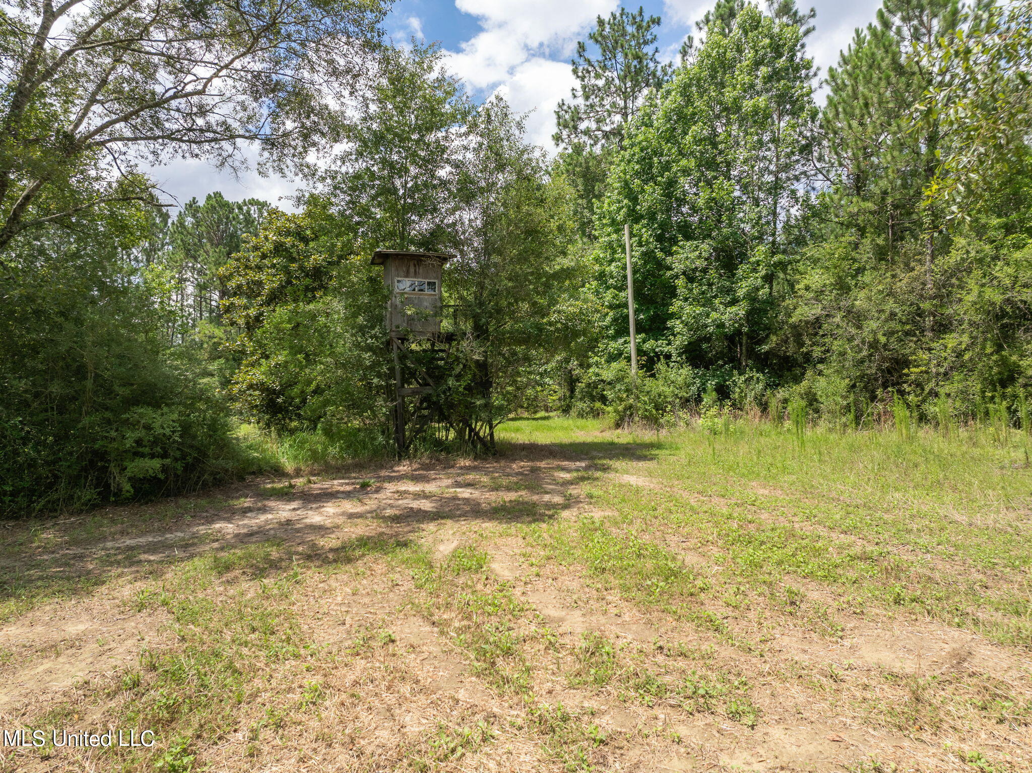 Herman Ladner Road, Saucier, Mississippi image 17