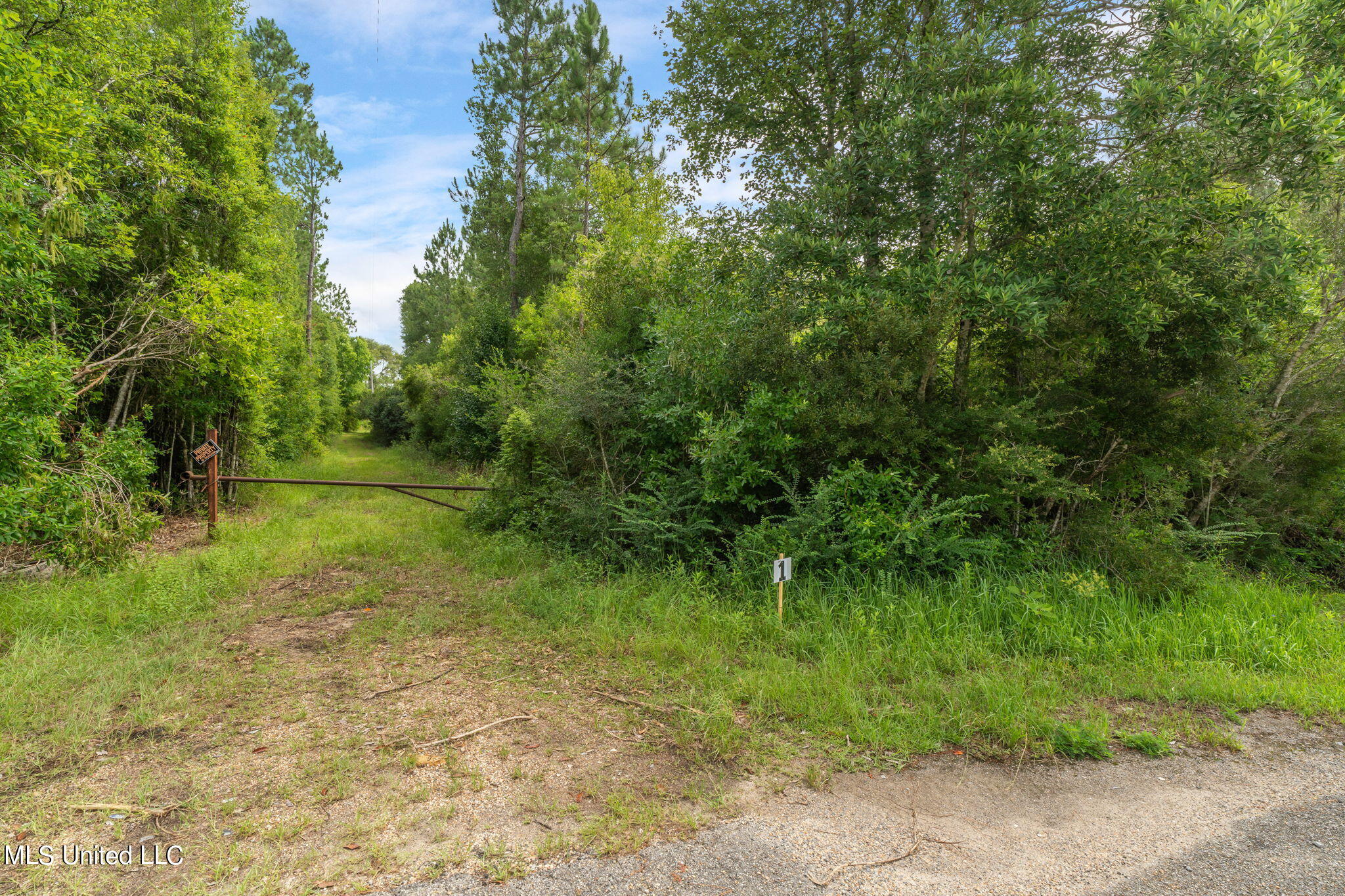 Herman Ladner Road, Saucier, Mississippi image 12