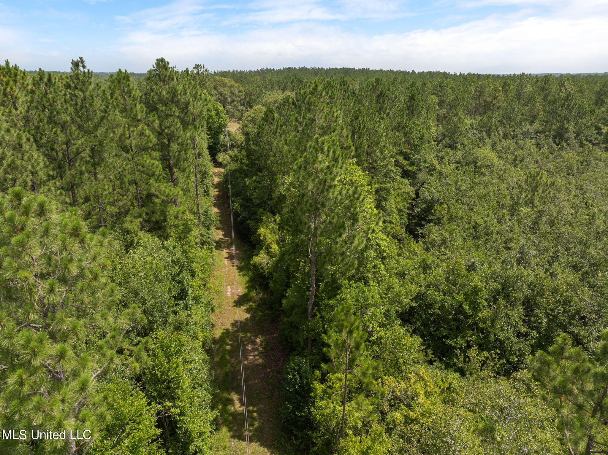 Herman Ladner Road, Saucier, Mississippi image 13