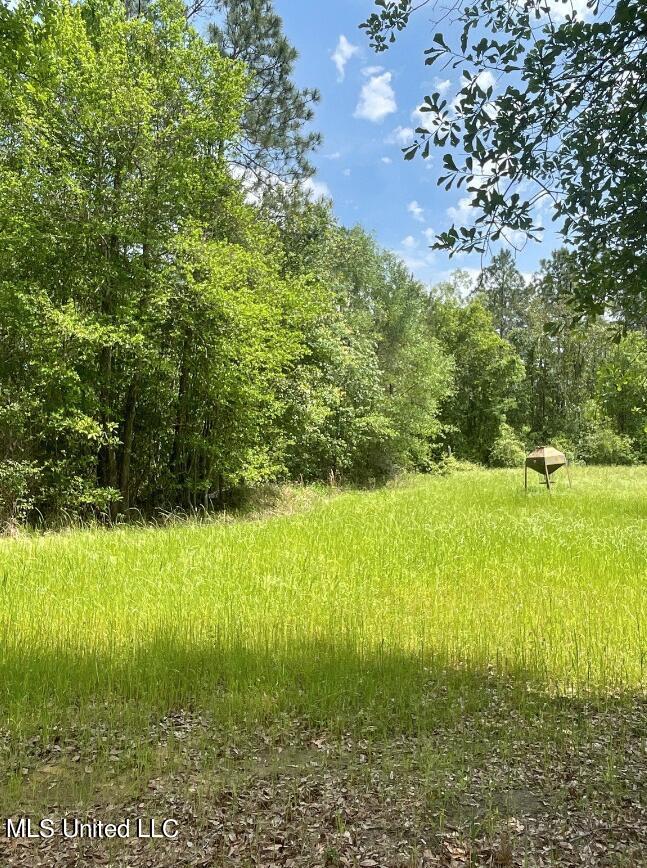 Herman Ladner Road, Saucier, Mississippi image 5