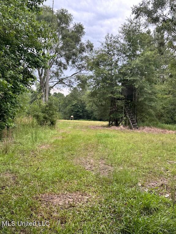 Herman Ladner Road, Saucier, Mississippi image 9