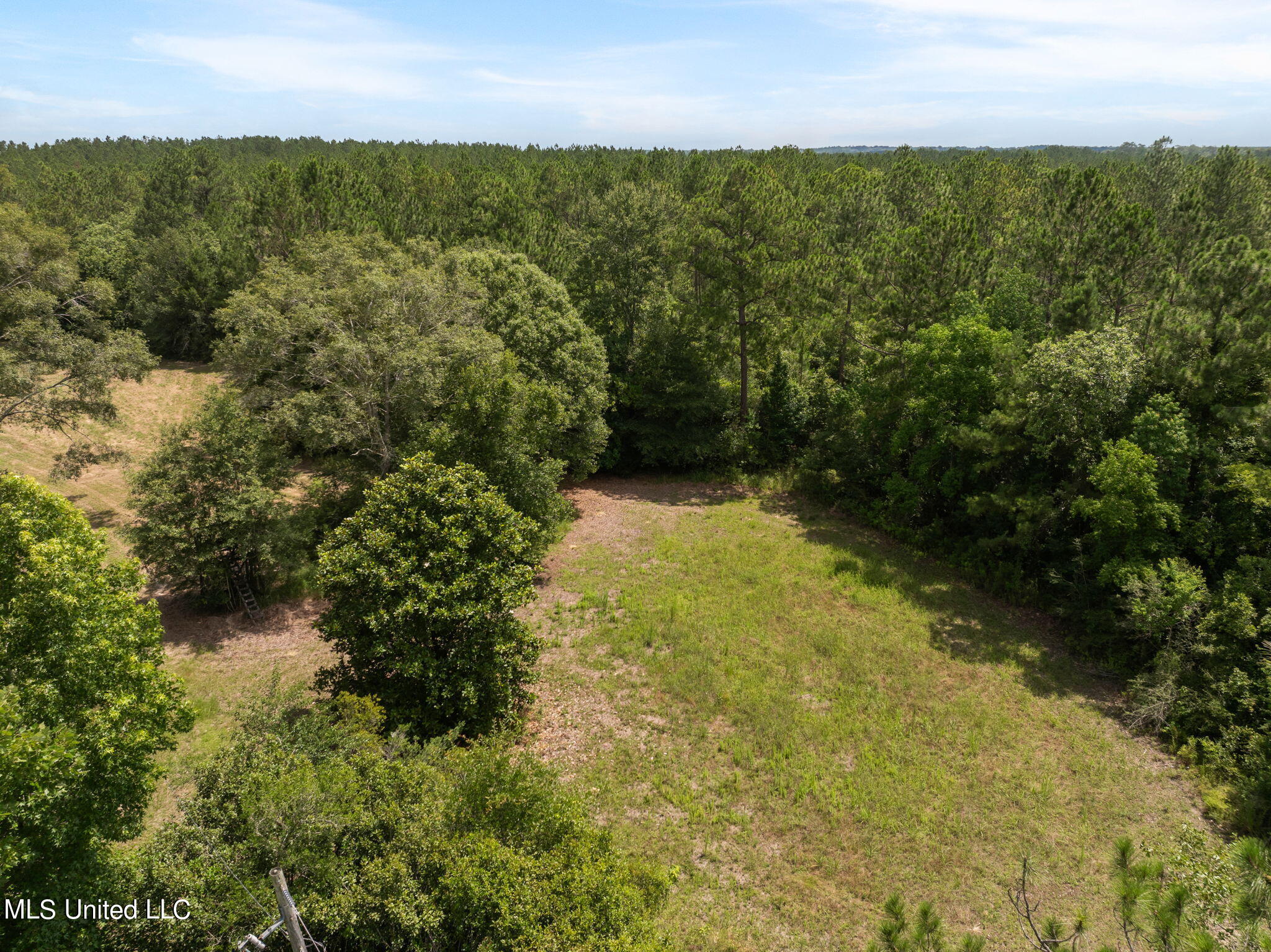 Herman Ladner Road, Saucier, Mississippi image 14