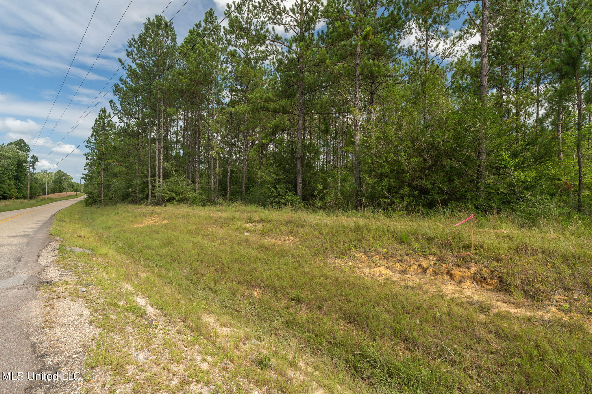 Herman Ladner Road, Saucier, Mississippi image 11