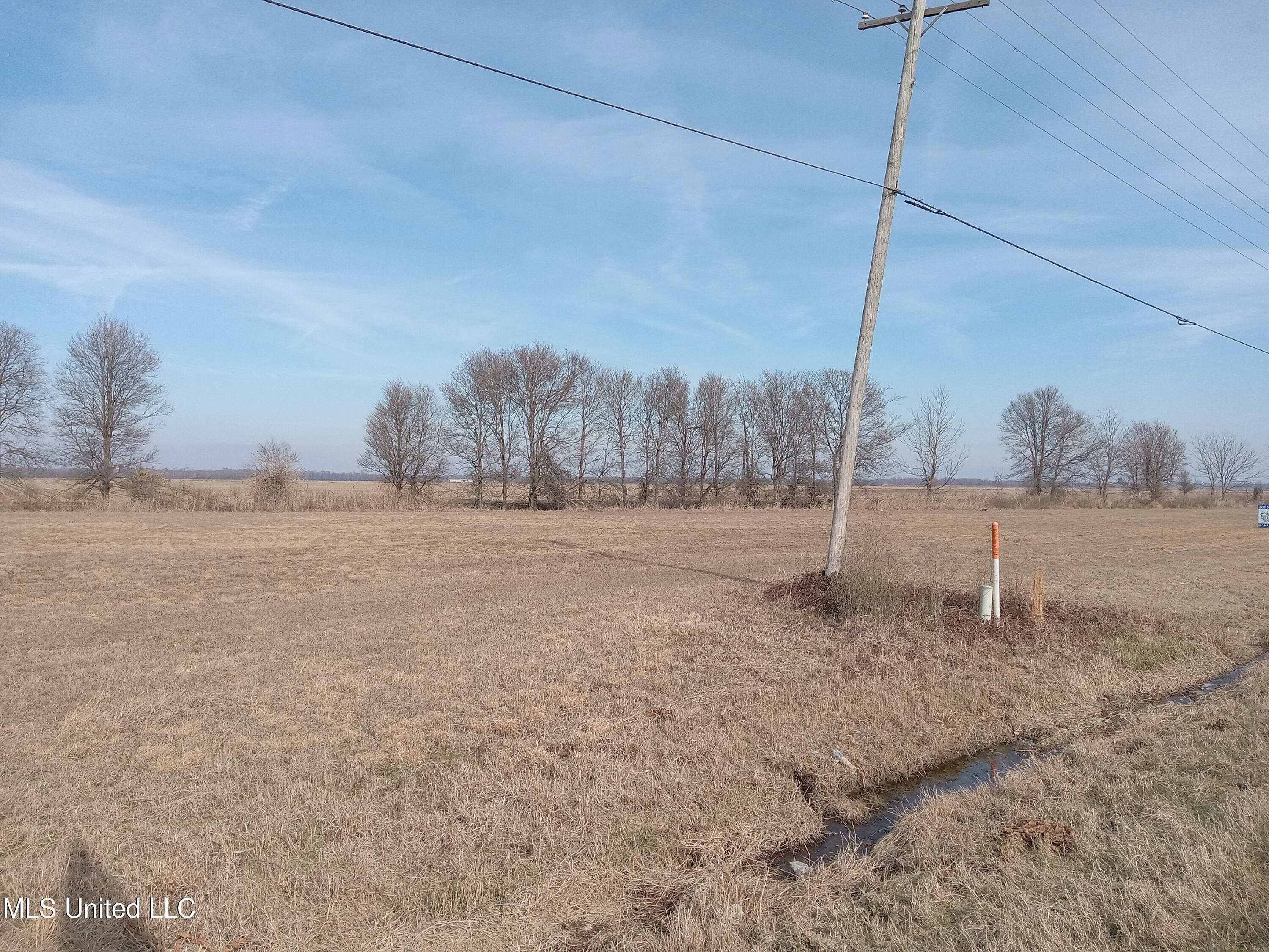 Highway 82 East, Indianola, Mississippi image 6