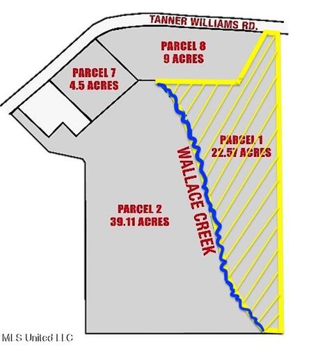 Vacant Land For Sale - Tanner Williams Rd -parcel 1<br/> Lucedale, MS 39452