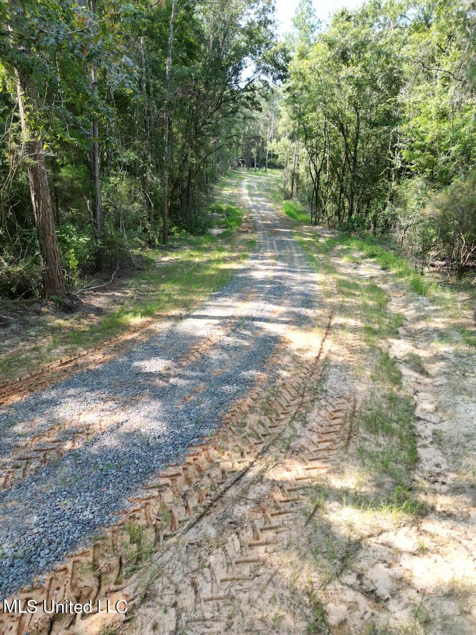 Tanner Williams Rd -parcel 1, Lucedale, Mississippi image 8