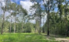 Tanner Williams Rd -parcel 1, Lucedale, Mississippi image 3