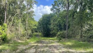 Tanner Williams Rd -parcel 1, Lucedale, Mississippi image 4