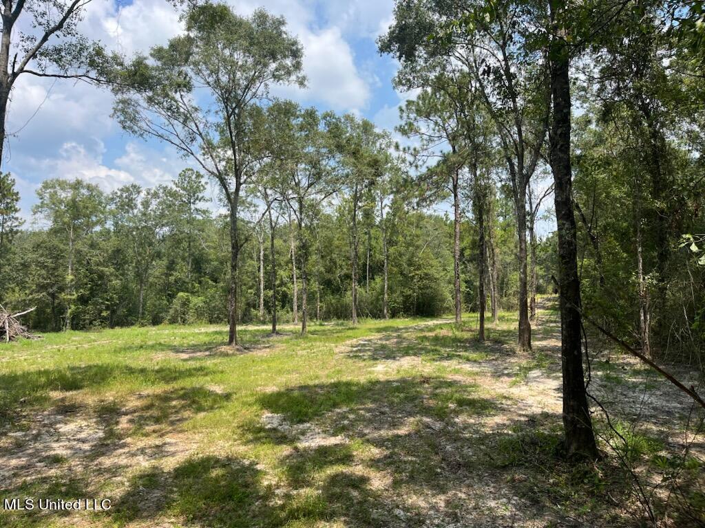 Tanner Williams Rd -parcel 1, Lucedale, Mississippi image 9