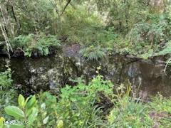 Tanner Williams Rd -parcel 1, Lucedale, Mississippi image 6