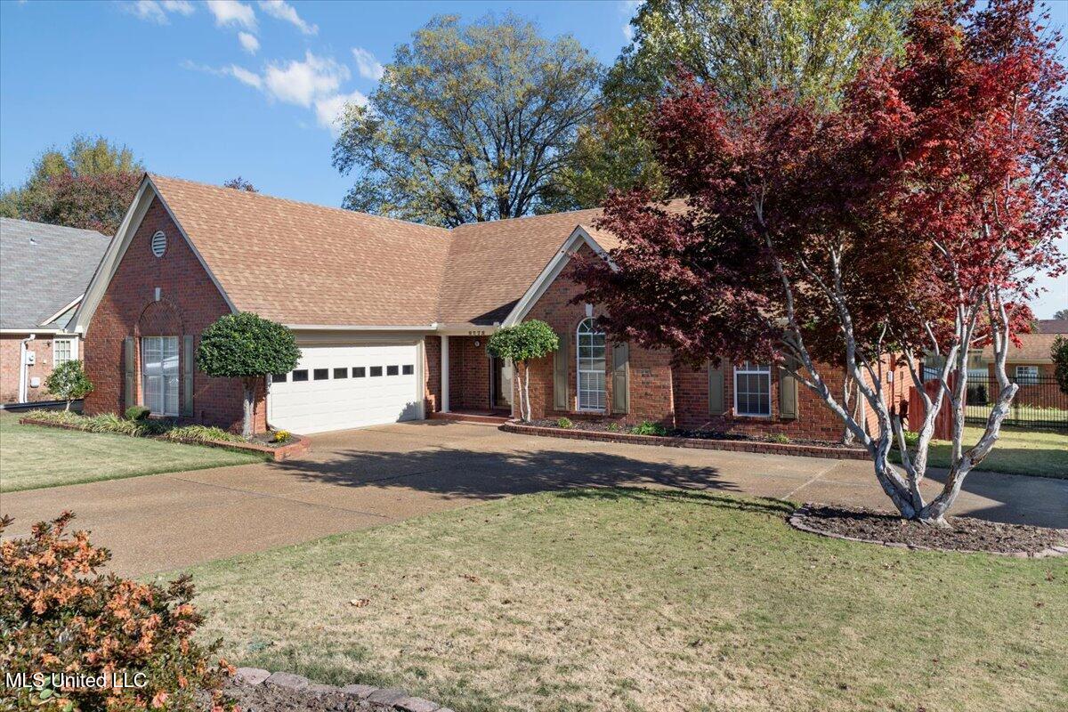 9278 Lakeside Drive, Olive Branch, Mississippi image 5