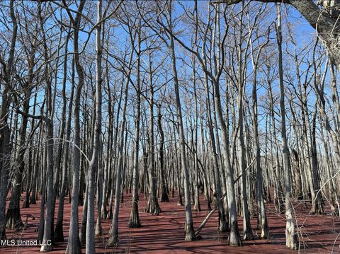 Vacant Land For Sale - County Road 526<br/> Leflore County, Minter City, MS 38944