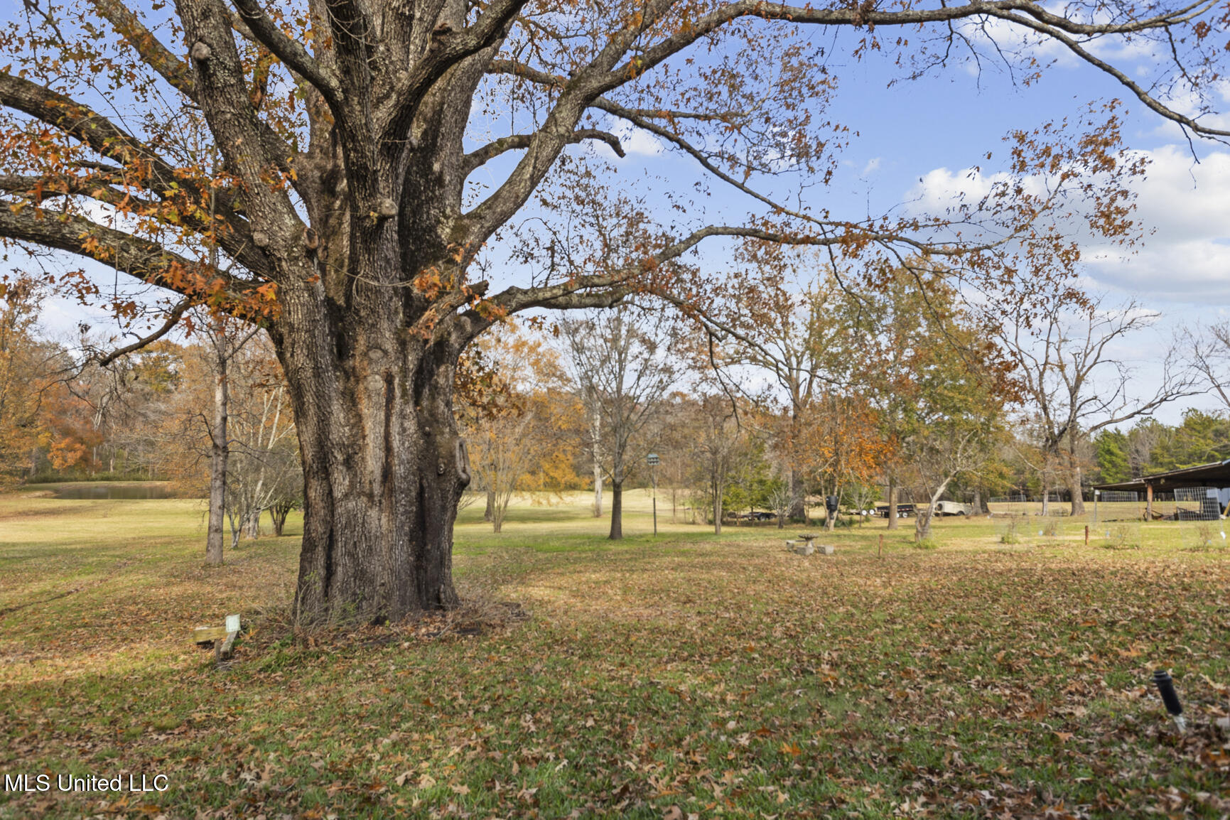 550 Countryside Place Place, Madison, Mississippi image 32