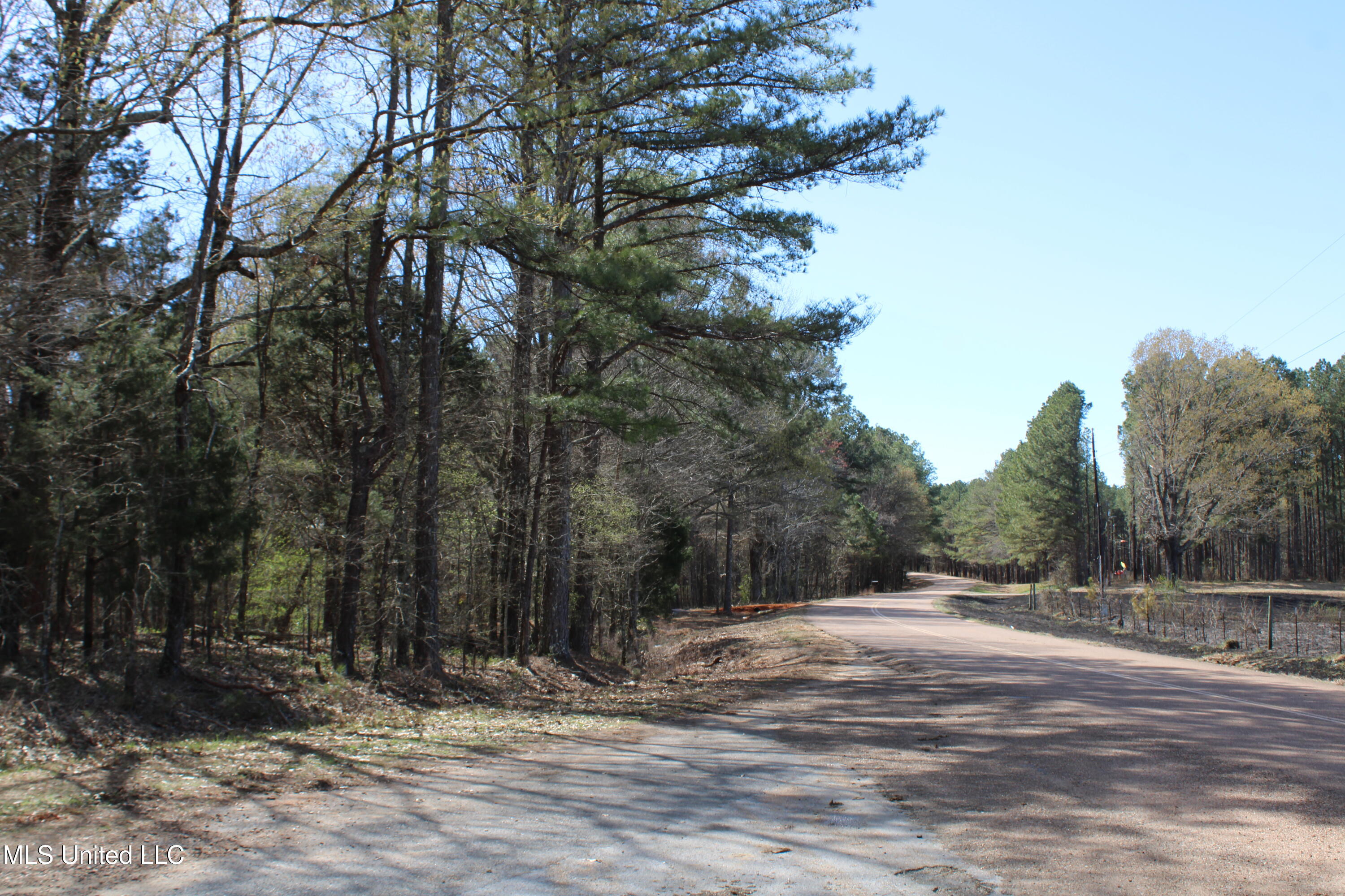 Glenville Road, Como, Mississippi image 25