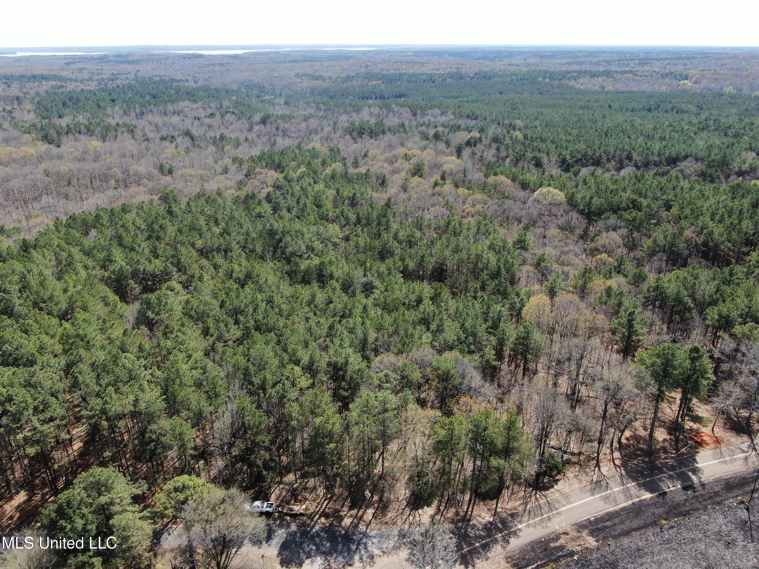 Glenville Road, Como, Mississippi image 6
