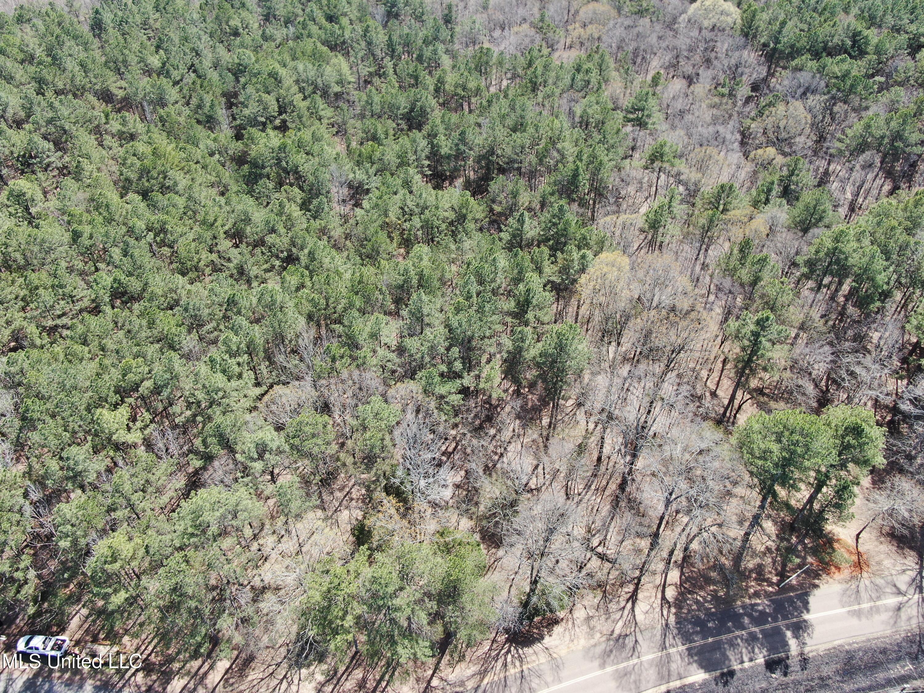 Glenville Road, Como, Mississippi image 7