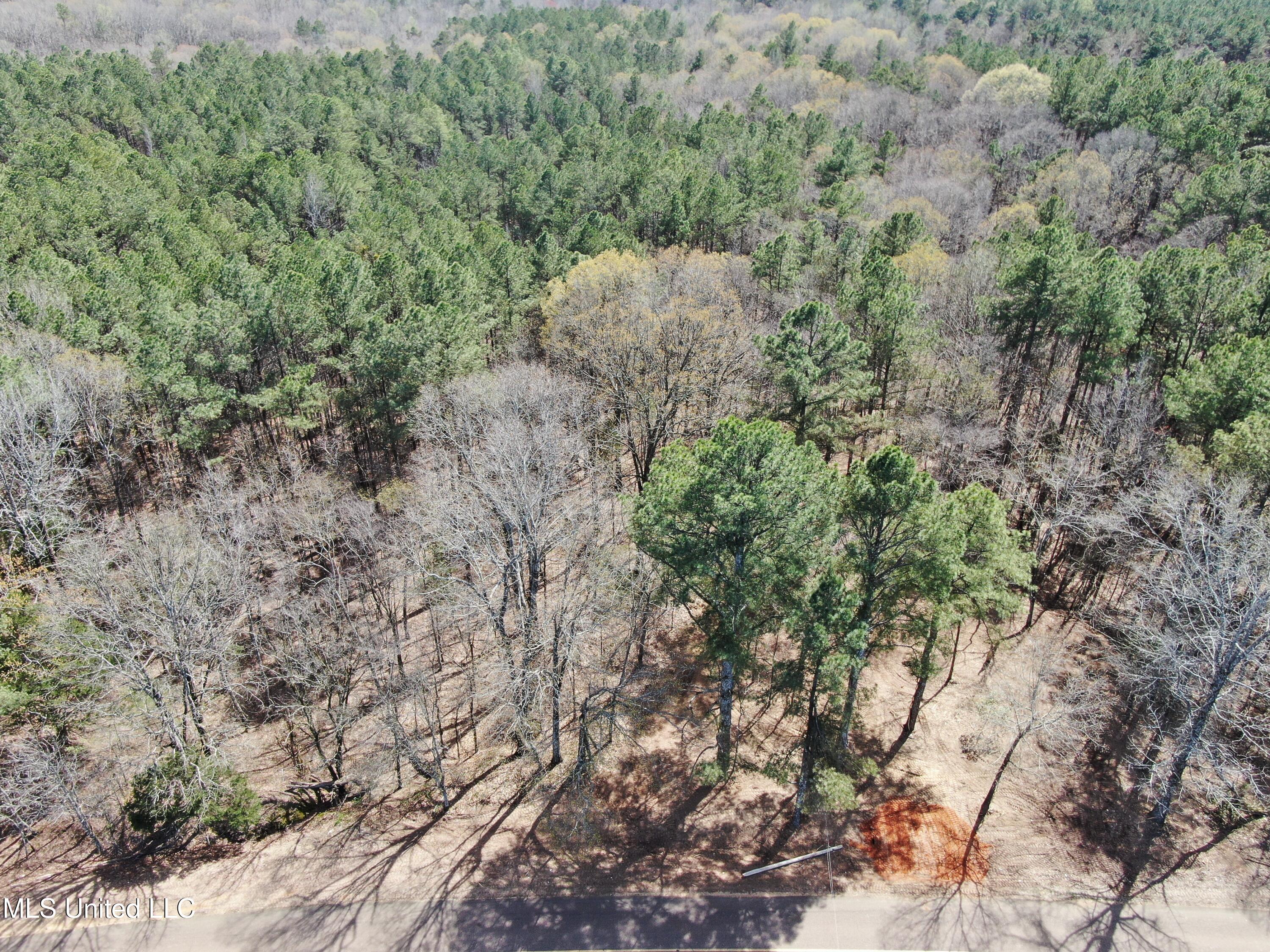 Glenville Road, Como, Mississippi image 1