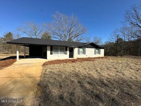 Homes For Sale - 221 Murphy Avenue<br/> Pelahatchie, MS 39145