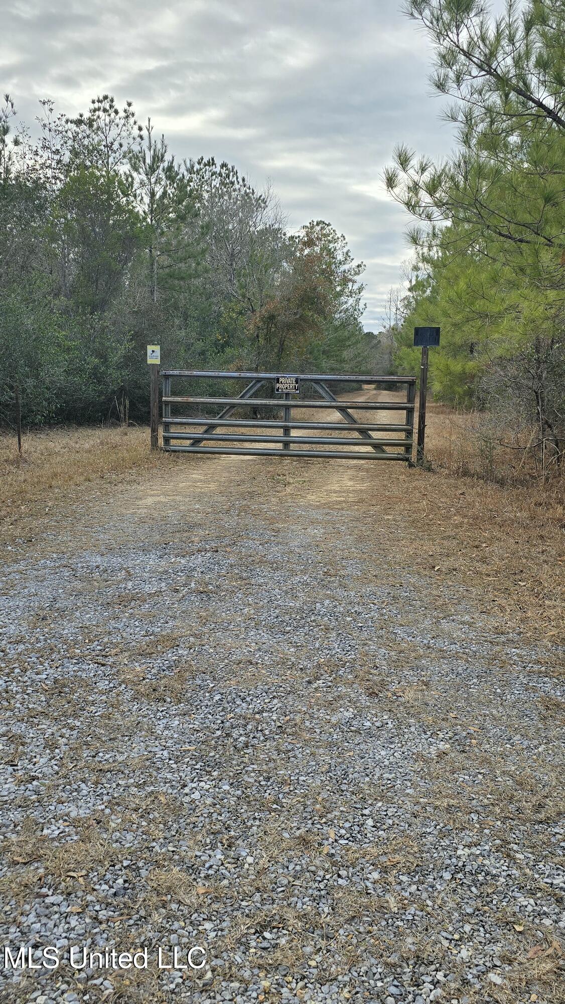 Kit Maples Road, Perkinston, Mississippi image 15