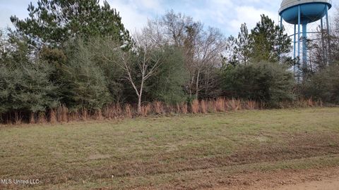 Vacant Land For Sale - N Resort Drive<br/> Lumberton, MS 39455