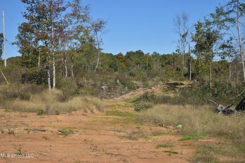 Vacant Land For Sale - 4 Marianna Road<br/> Marshall County, Holly Springs, MS 38635