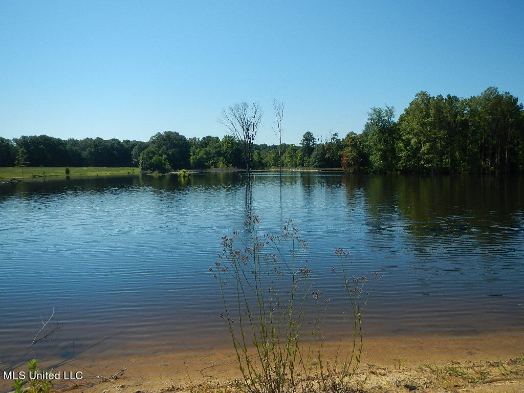 919 Endris Road, Canton, Mississippi image 11