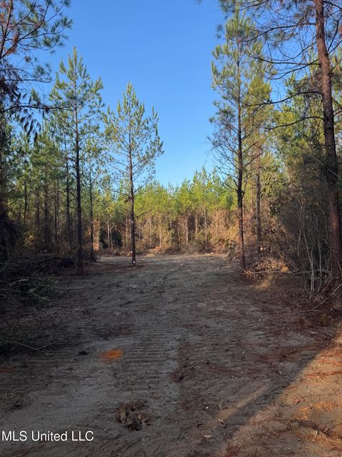 Vacant Land For Sale - Pat Hickman Road<br/> Perkinston, MS 39573