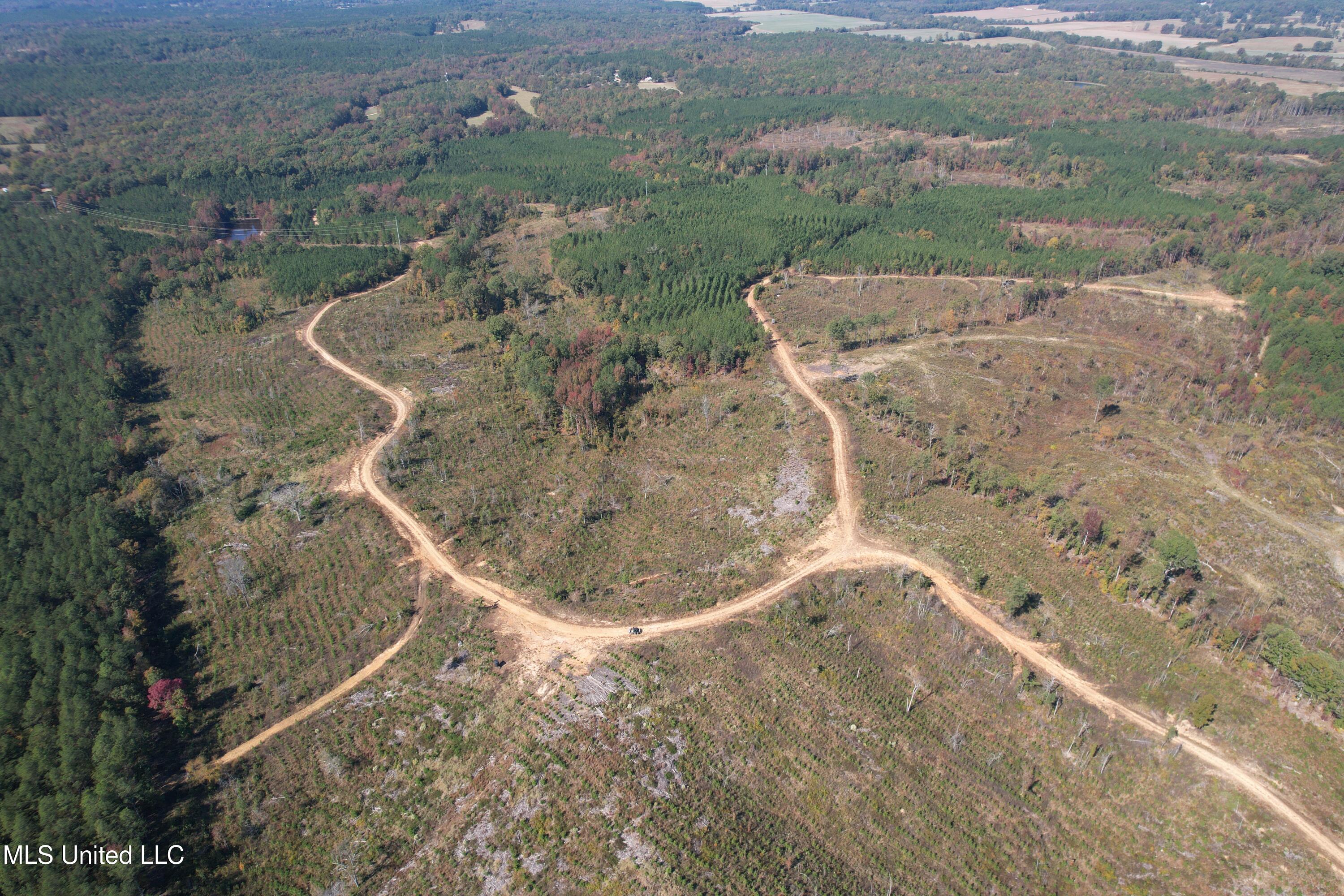 Ms-32, Water Valley, Mississippi image 2