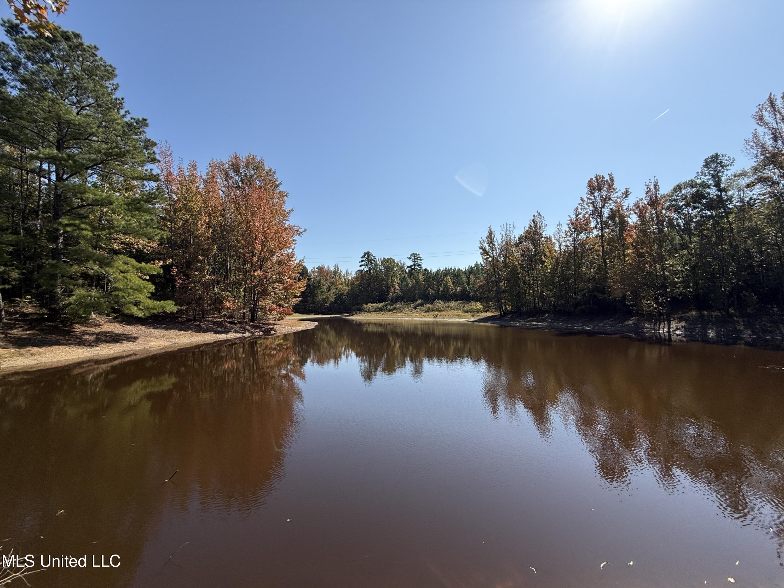 Ms-32, Water Valley, Mississippi image 6